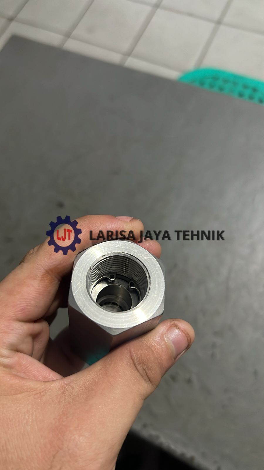 Check Valve 1"Fnpt, Stainless 316L, Pressure : 10.000Psi
