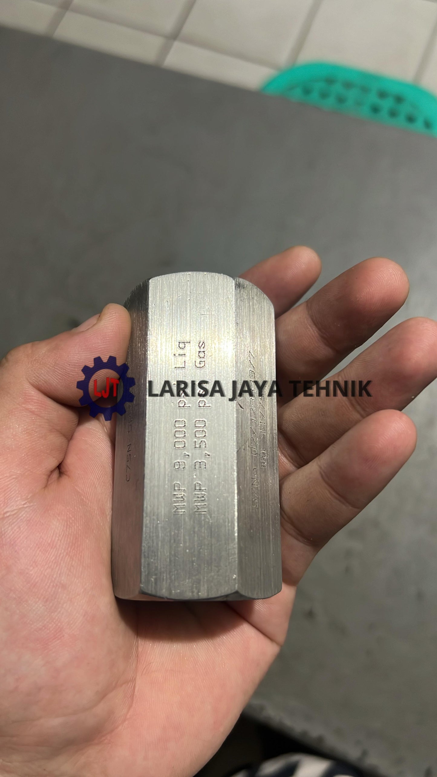 Check Valve 1"Fnpt, Stainless 316L, Pressure : 10.000Psi