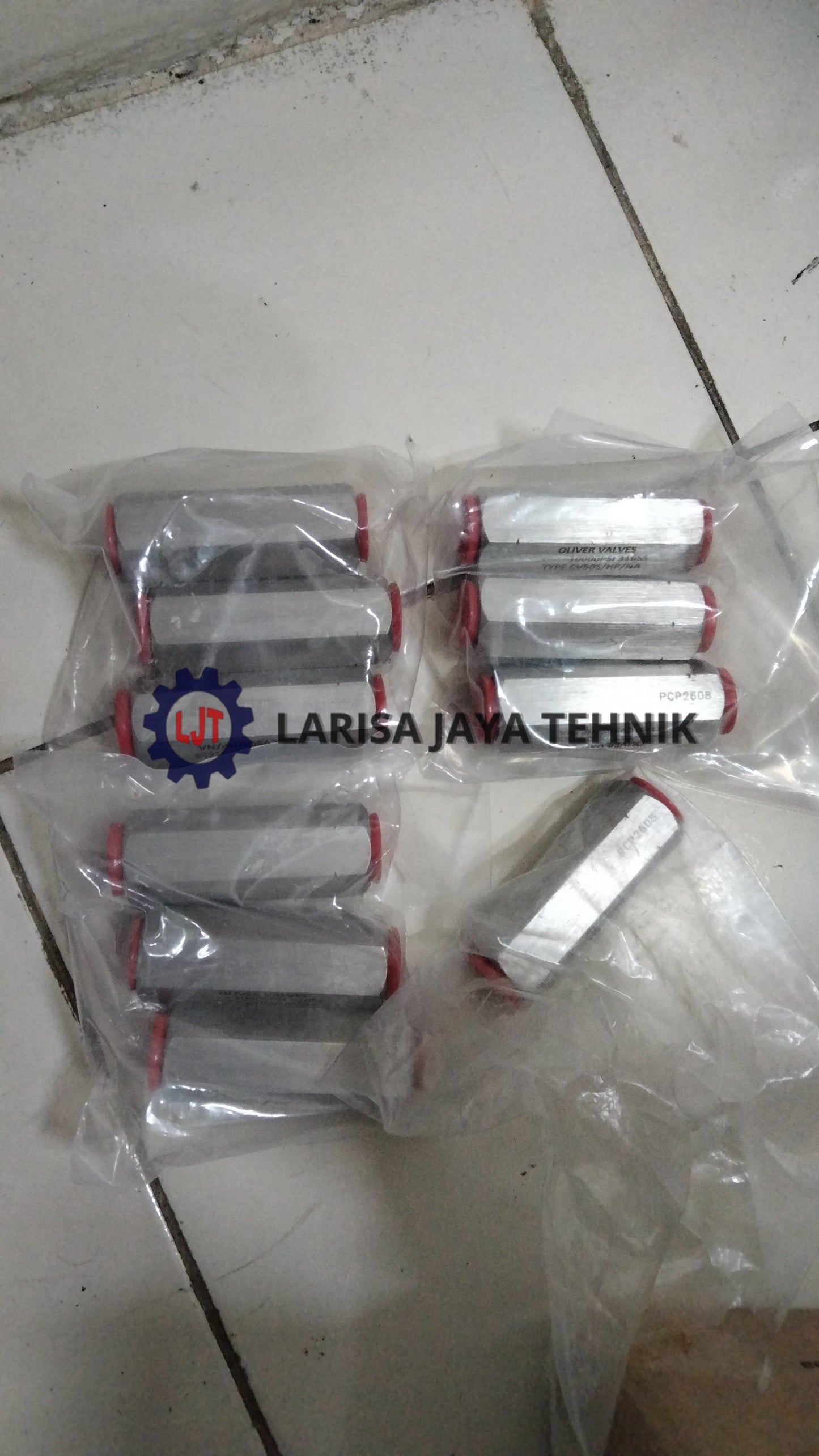 Check Valve 1/2"Fnpt
