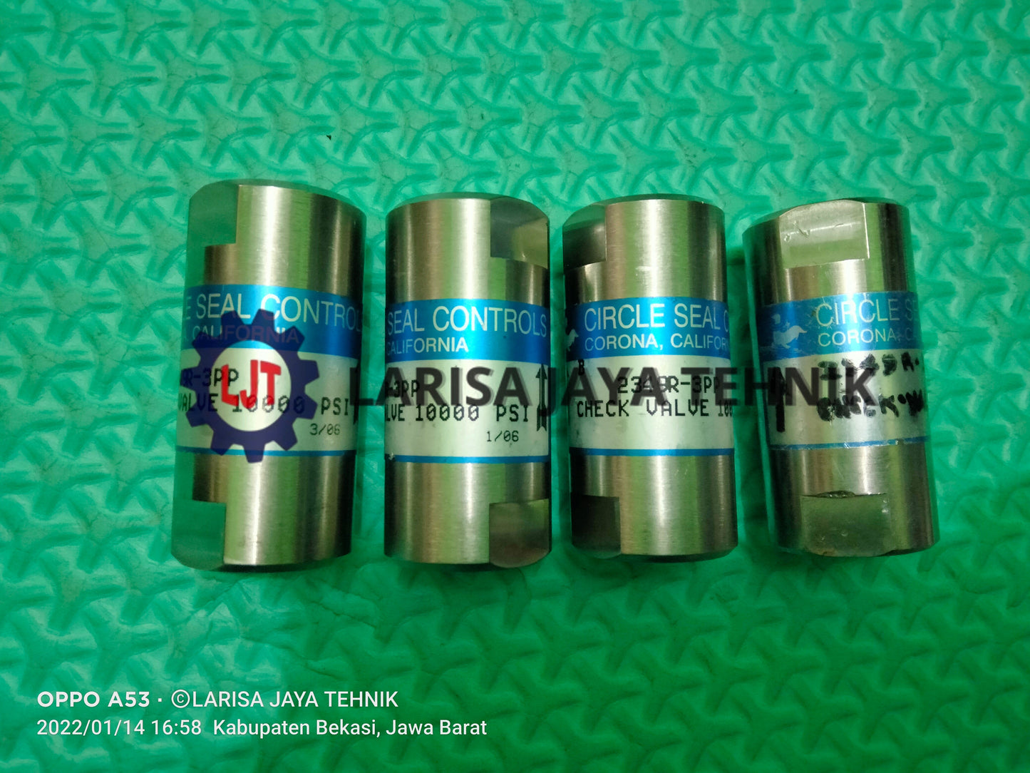 Check Valve 3/4"Fnpt, Stainless 316L, Pressure : 10.000Psi