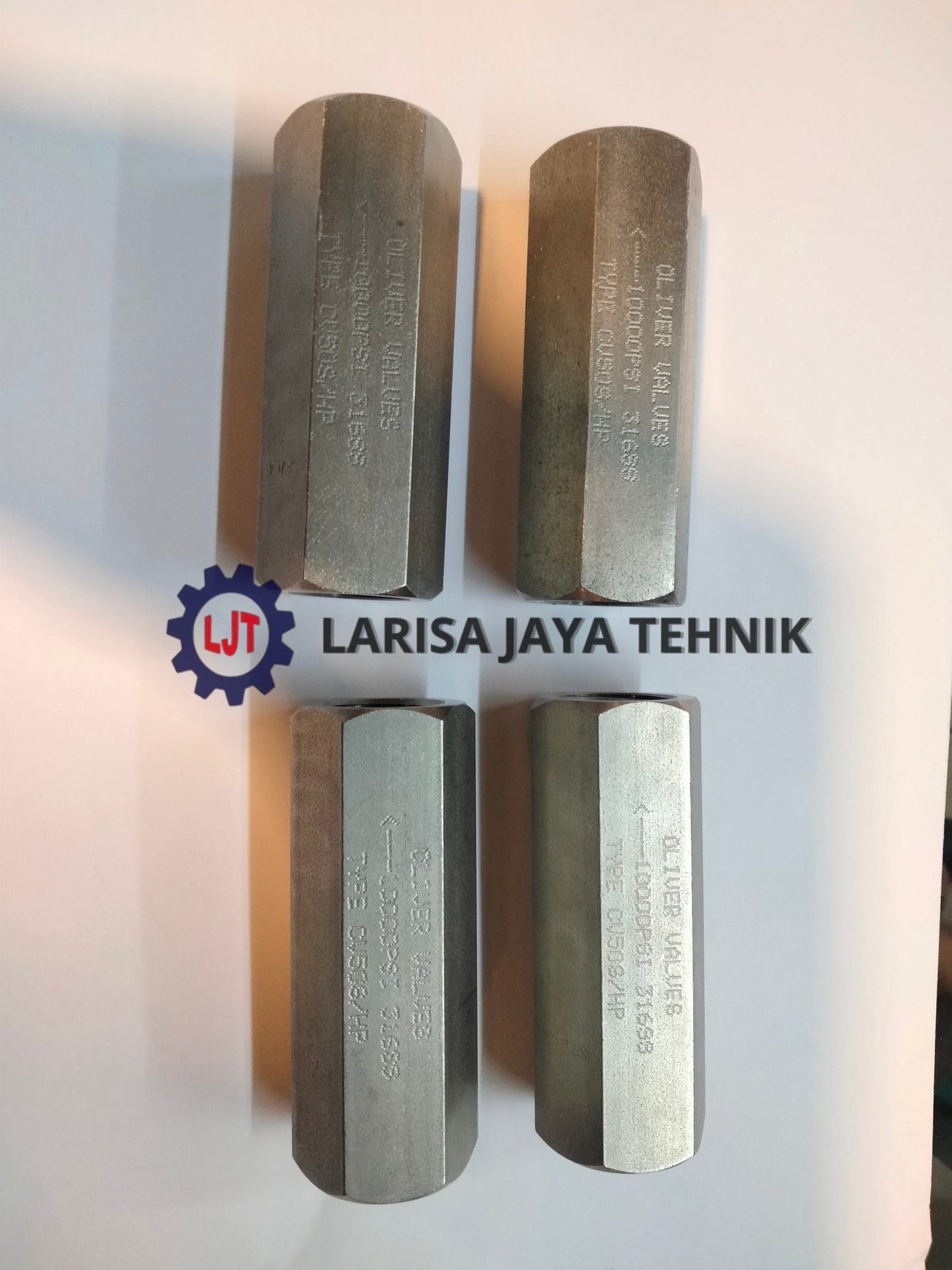 Check Valve 3/4"Fnpt, Stainless 316L, Pressure : 10.000Psi